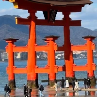 画像282