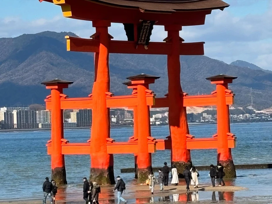 画像282