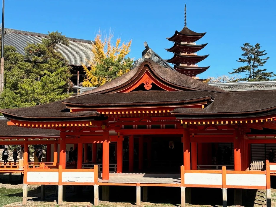画像283
