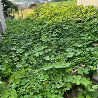 画像467