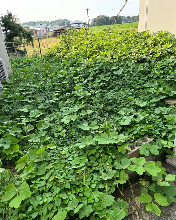 画像467