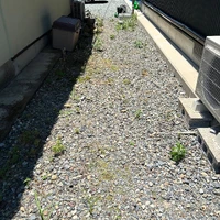 画像476