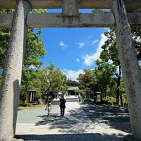 画像490