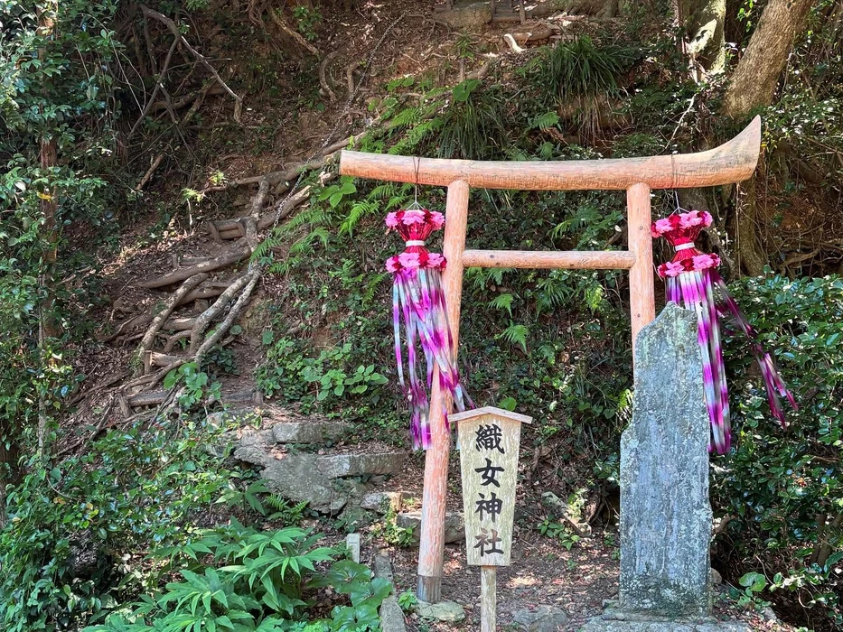 画像492